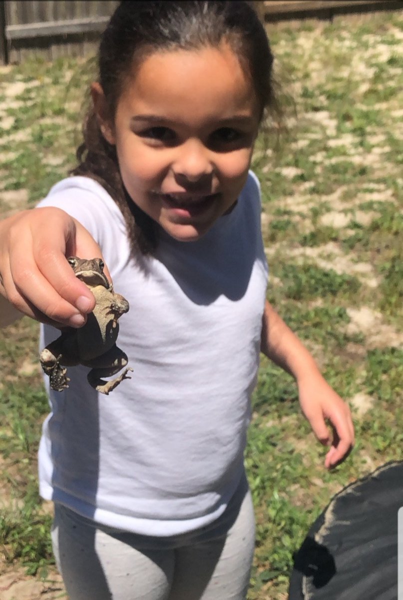 pmoylan1029's tweet photo. Another day for Flat Ms Moylan adventure ! #frogcatching #funinfirst #atadistance https://t.co/8peRJUOptq