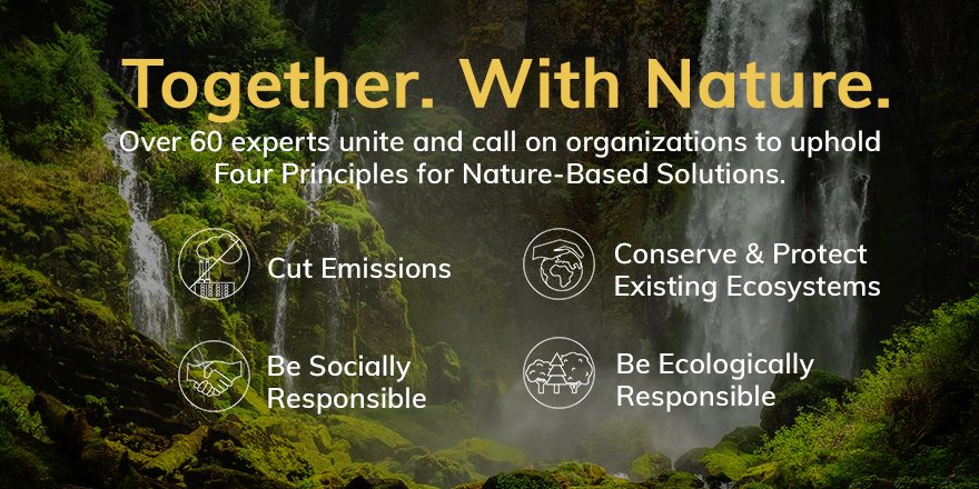LaudatoSiMvmt's tweet photo. One Statement.
Four Principles for Nature-Based Solutions.
60+ leaders in science, conservation, restoration, development, and sustainability.
➡️ Read the statement here: https://t.co/lpklQunSHR
#TogetherWithNature #NatureBasedSolutions #4Principles4NBS @CrowtherLab https://t.co/xfnrdO2fC8