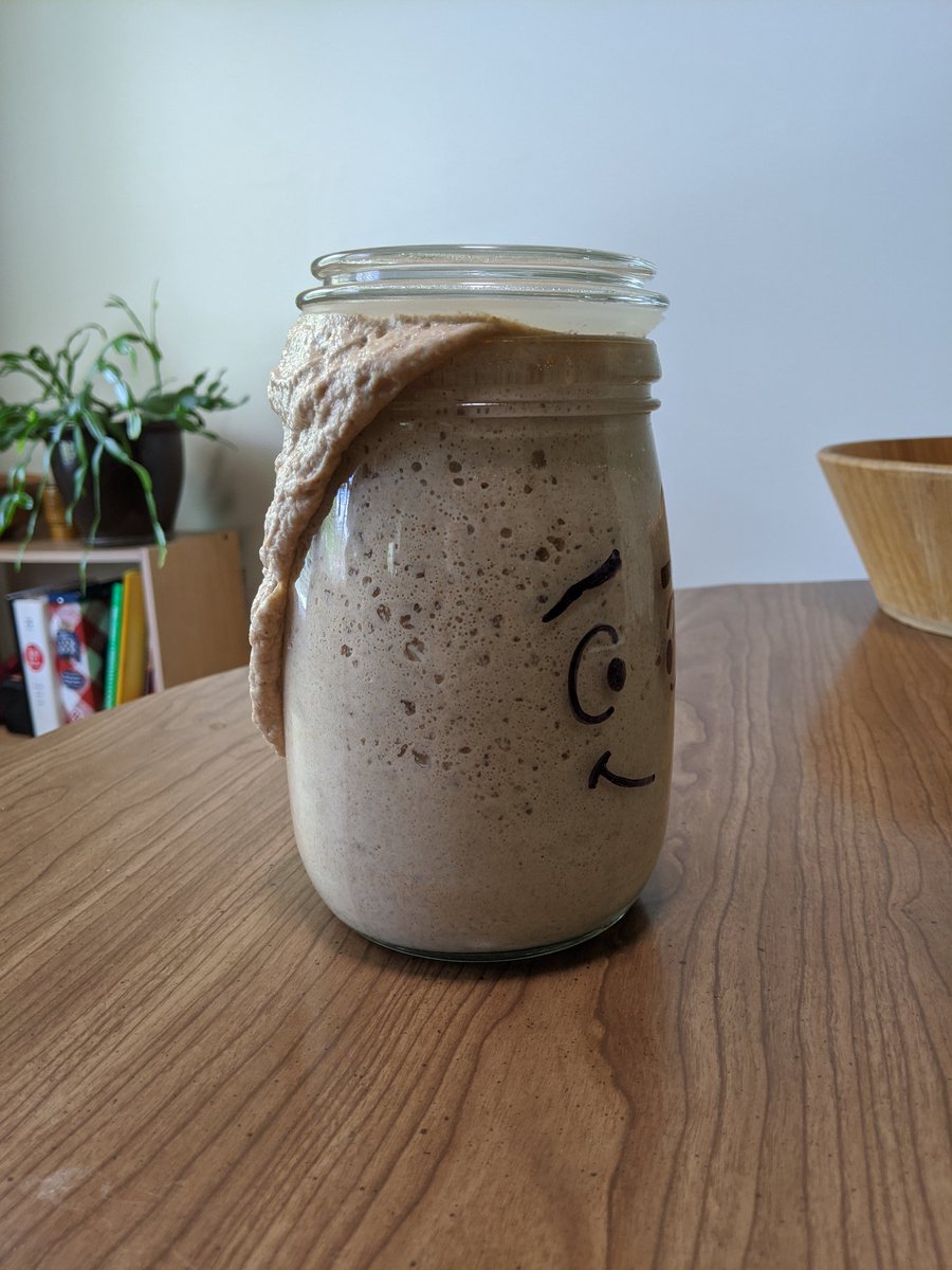 ReneHoover's tweet photo. My sourdough grew a mullet! https://t.co/COEseKHqoa