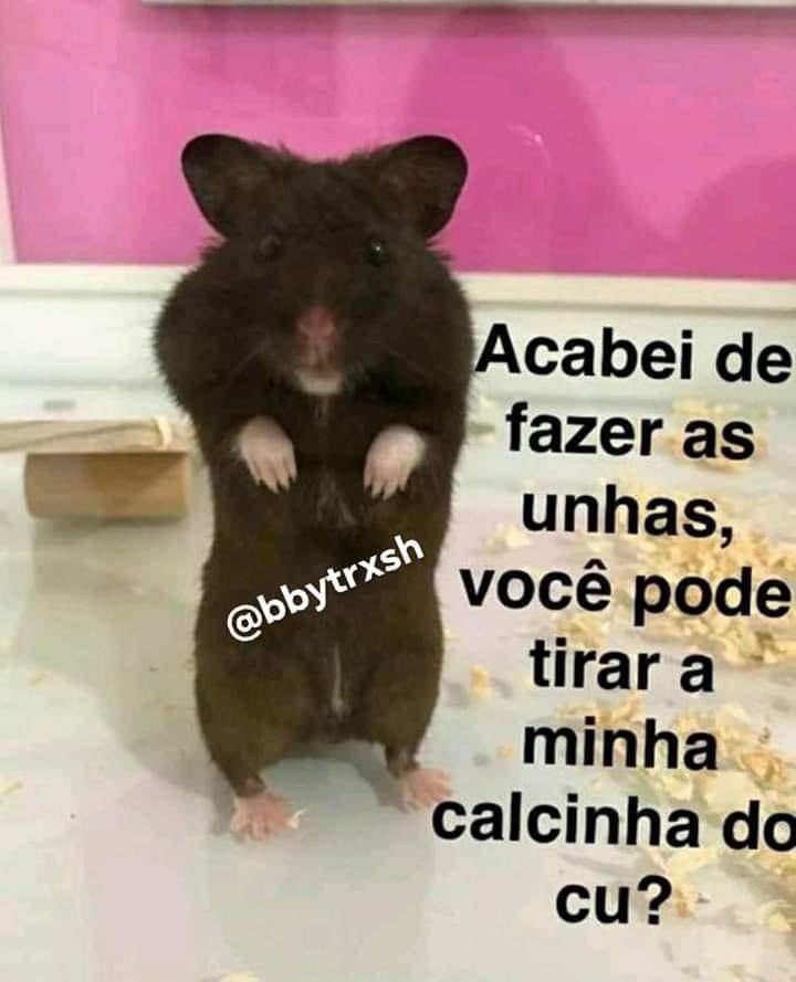 erica_dmv's tweet photo. Se namorado não é pra isso então é pra que ? https://t.co/XnT8YoN3YU