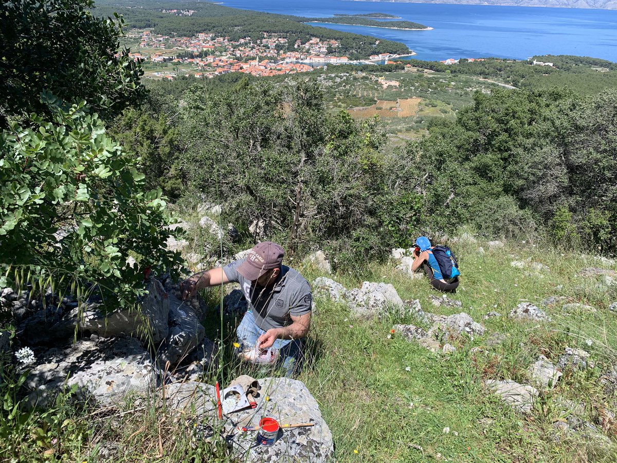 SecretHvar's tweet photo. Me and my colleagues, from the Mountaineering club, spent the day blazing the hiking trails on Hvar island
π₯°
π
π
#Hvar #SecretHvar #Dalmatia #Croatia #croatiafulloflife #timeoutcroatia #lavender #island #islandlife #islandtour #heritage #heritagetour #hike https://t.co/FaKIwNn49o