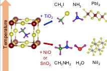 UTDMaterialsSci's tweet photo. Today we would like to highlight a paper published in ACS Energy Letters and authored by MSE researchers and faculty; Sampreetha Thampy, Boya Zhang, Ki-Ha Hong, Dr. Kyeongjae Cho, and Dr. Julia W. P. Hsu.
Link here: https://t.co/cbYwyfP4FW
#utdmse #makingthenew https://t.co/NW4E435Mua