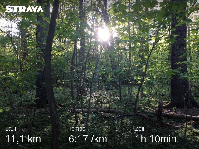 UlrikePenz's tweet photo. @ThomasRabe Feierabendrunde für #SupportStrassenkinderBerlin #runningfortwo https://t.co/HCJLsFfLHy