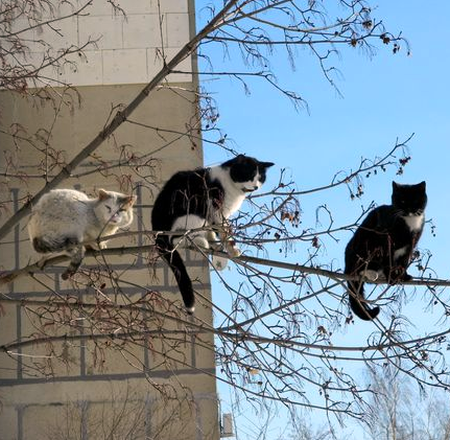 *꿈사냥꾼 tweet media