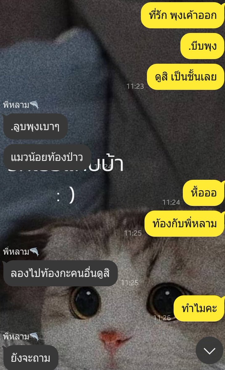 มาขิงเจ้าของแมว tweet media