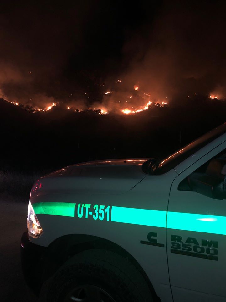 _MelissaEgan's tweet image. Milepost 6 Fire in Redington Pass believed to be human-caused.  US Forest Service is investigating.  

*REMINDER*:  @CoronadoNF has a campfire ban in place.  Fire danger is high, so please be careful.  #OneLessSpark #OneLessWildfire   PICS:  US Forest Service