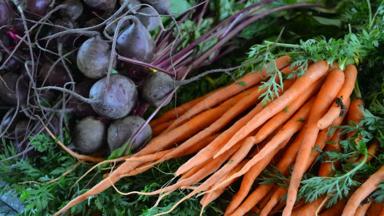 Great article covering the work of our big sister programme in Canada @weseedchangeorg, great work guys! 💪🌱
cbc.ca/news/canada/su… #seedsovereignty #resilience #seeddiversity #localseeds