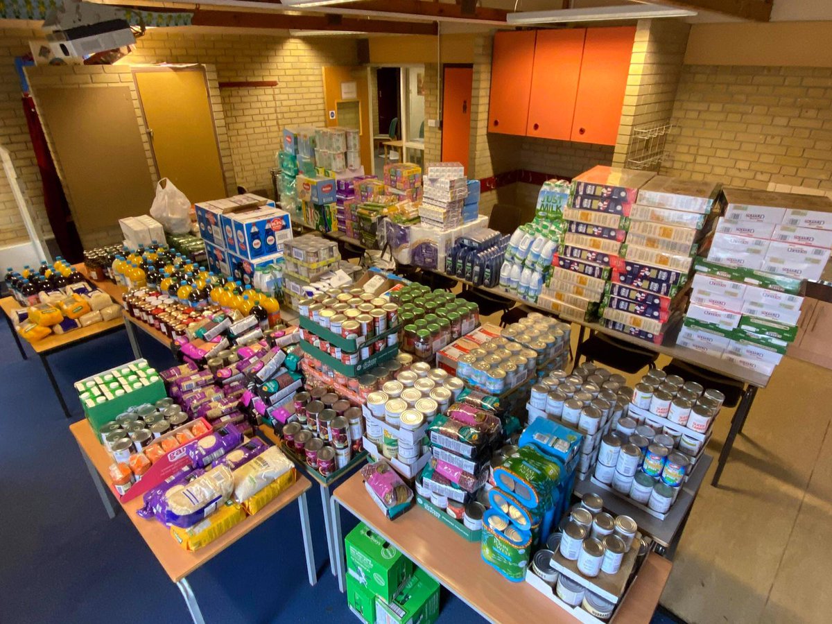 Wolf Fields Primary tweet media