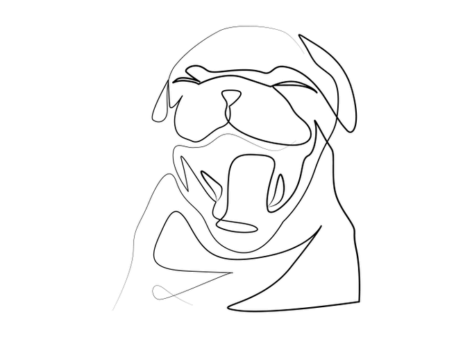 javanart's tweet image. Hi Guys, I will #draw #continuouslineart design your #pets in 24 hours on #fiverr.
You can hire me on : fiverr.com/share/AGGGpP
I have special offer for you!
#dog #cat #squirrel #fish #bird #horse #ferret #hamster