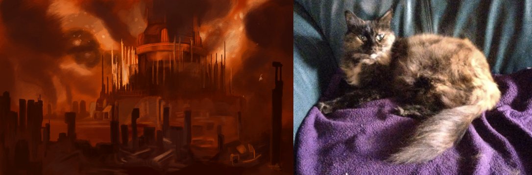 DjIdolon's tweet photo. @MMagrs I named my sweet cat Gallifrey after her resemblance to the planet. https://t.co/m9j00xPZiy