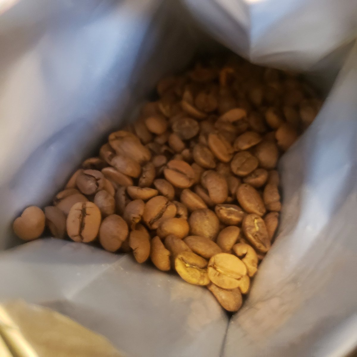 CrashLvsDanger's tweet photo. @fazendacoffee is it normal for your beans to not be shiny? Just bought a bag and opened it and I'm just used to new beans being a little shinier and oilier. Not sure if it's due to variety. Thanks in advance https://t.co/Yq7g548PDN