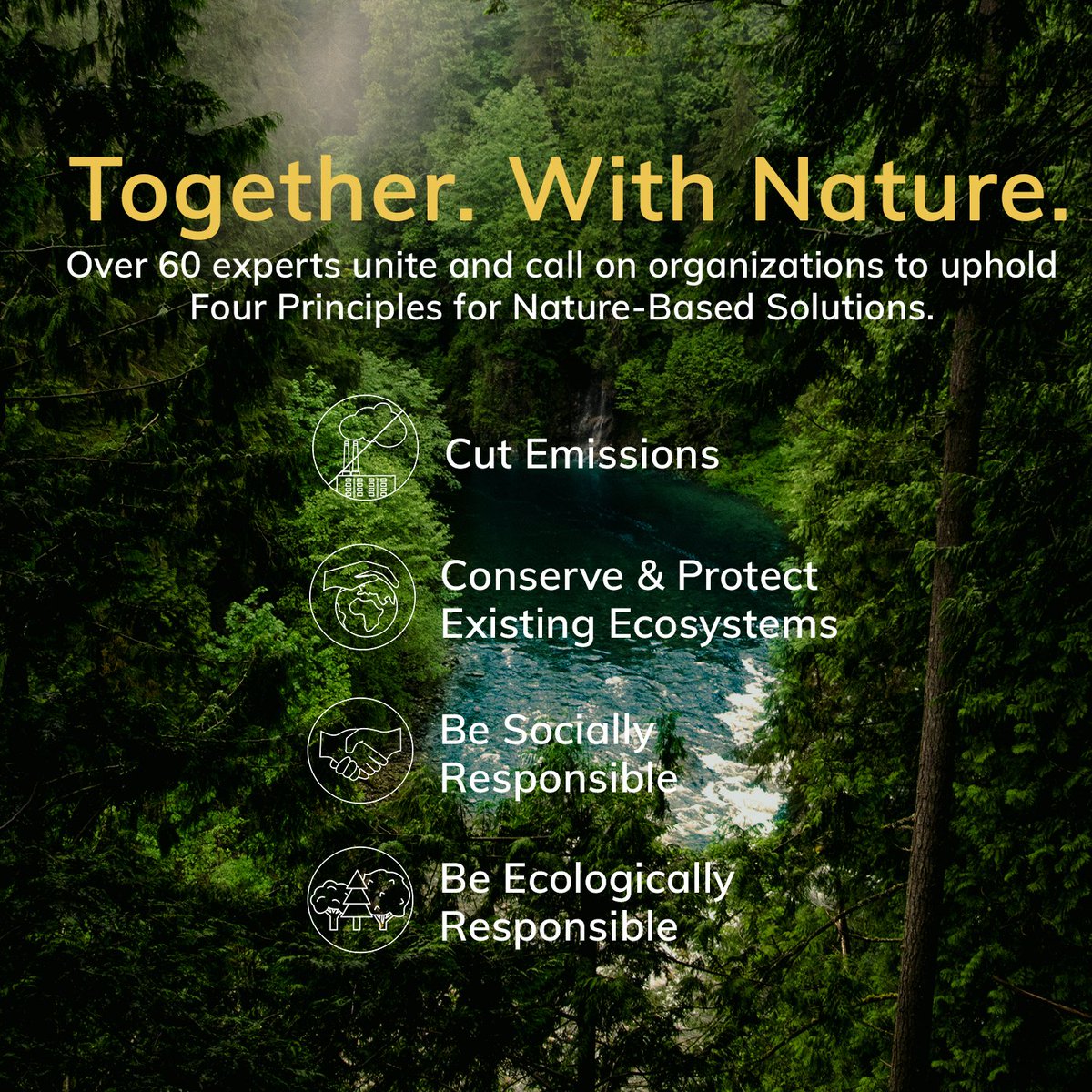 tomcarnac's tweet photo. This is a moment where the convergence of solutions can over power the convergence of crises.
Absolutely stunning list of supporters for #NatureBasedSolutions.
#TogetherWithNature #4Principles4NBS
https://t.co/0oTX93BtZ2 https://t.co/6sAzsDWxdh