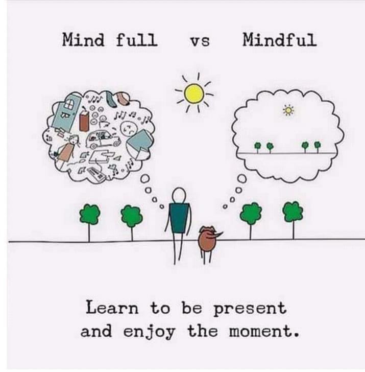 MsMaryCounselor's tweet photo. #ssdedu #wegotthis #mindfulkids #mindfulteachers #distancelearning @FriscoPanthers https://t.co/6U6rrZVadq