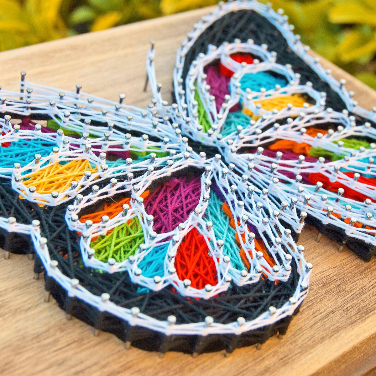 leyna__rose's tweet photo. @CJ13oulais @picturesqueband @equalvision It’s string art! So the butterfly’s made with string and nails and it’s on a wood board....the leaves and rocks in the background are just part of the pond I took the picture by haha https://t.co/2AM1KE6ucU