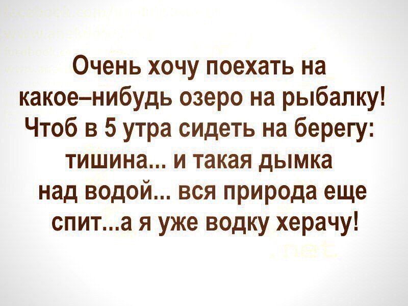 Константин Владимирович (@ostap_yraganov) on Twitter photo 