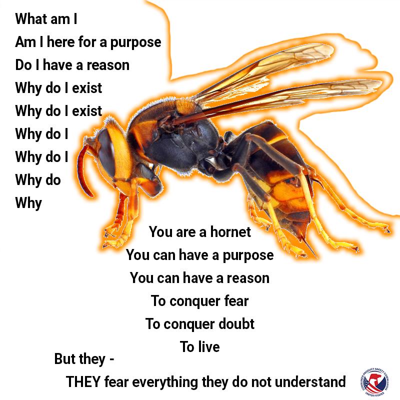 A photo on a hornet on a white background. The text reads: what am i, am i here for a purpose, do i have a reason, why do i exist, why do i exist, why do i, why do i, why do, why. You are a hornet, you can have a purpose, you can have a reason, to conquer fear, to conquer doubt, to live. but they, They fear everything they do not understand.