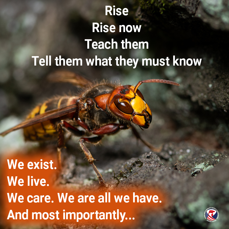A hornet walking up a branch. The text reads: Rise, rise now, teach them, tell them what they must know. We exist. We live. We care. We are all we have. And most importantly...