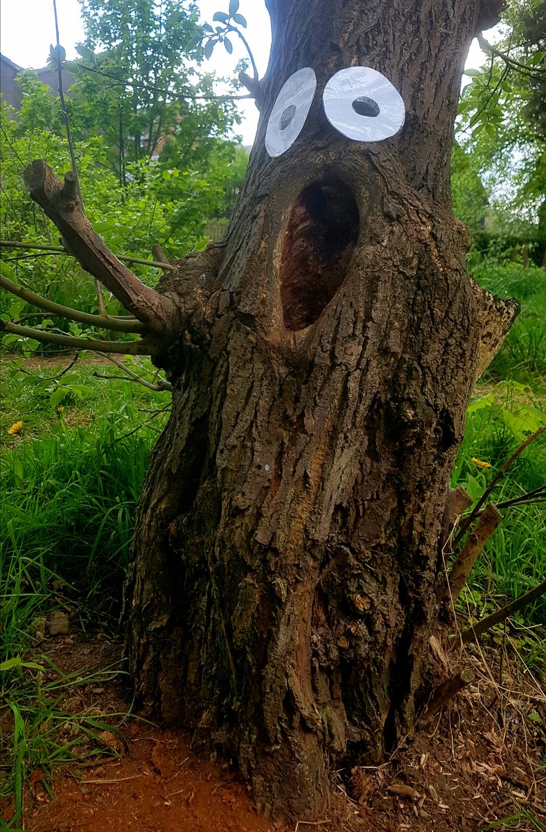 PictishBeastPub's tweet photo. The Cornoavirus shutdown seems to be bringing out the creative side of people as illustrated by this example I came across on Victoria Park Nature Walk today.

#COVIDー19 #LockDownFun #glasgow #scotland #art #trees @GlasgowWEToday @HelloGlasgowist #victoriapark #coronavirusuk https://t.co/f8uVHZwKCd