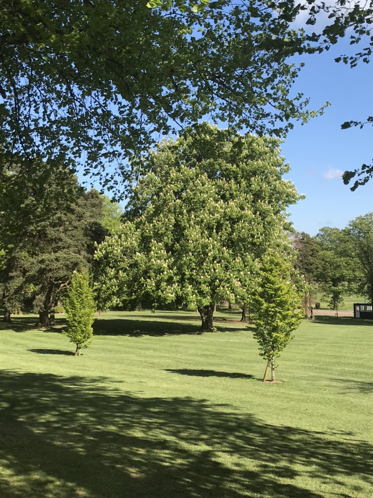 SarahTFerguson's tweet photo. @campbellclaret Beautiful sunlight! #toftd #lisburn #northernireland https://t.co/RkMJ5KIRPj