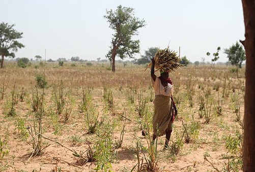 FistulaFund's tweet image. Tomorrow is #GivingTuesdayNow. Join us in this opportunity to stand together and provide hope to the world's most vulnerable women through this COVID-19 crisis. #kindness #africanhealth #corona #covid #stayathome