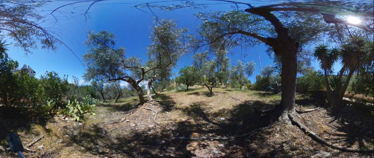 UnnatiSing's tweet photo. Web
#planbstudio #planBartistresidencyGreece
#UnnatiSinghStudio #landart #Landinstallation https://t.co/3CwPqtKbci