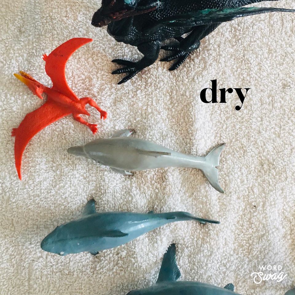 monkey_tables's tweet photo. Dragon, Dino, Shark Wash - Open for business! 🦖🦕🐉🦈🧼🧽 #toddlerplay #sensorytable #sensoryplay #kidsactivitiesathome #kidsactivities #preschoolathome #preschoolactivities #playbasedlearning #play https://t.co/5jxioXXIge
