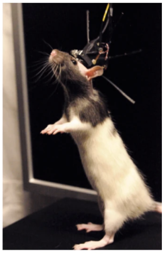 naturemethods tweet picture