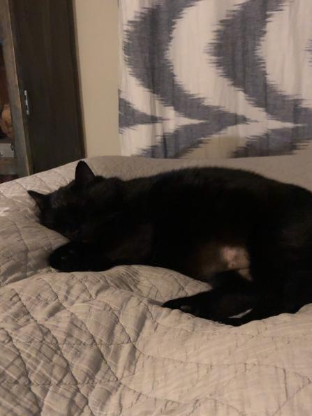 Boët Notify tweet media