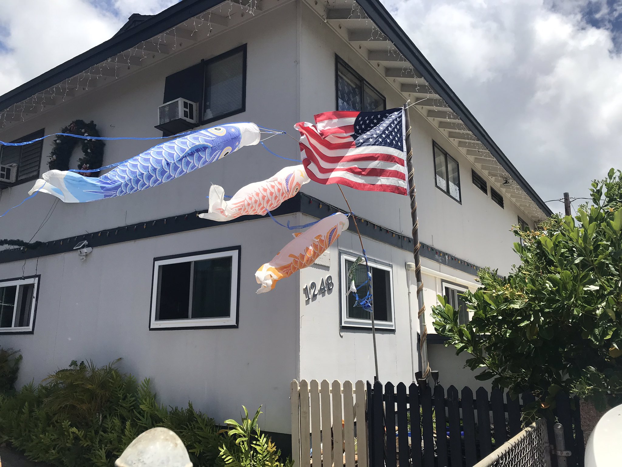 礼くりふ A National Flag And Koi Nobori Carp Streamer Japan S Tradition To Celebrate Boys Day 鯉のぼり とアメリカ国旗 ハワイ ハワイ暮らし ハワイ在住 ワイハ ワイハのおじちゃん 青空 鯉のぼり こどもの日 アメリカ国旗
