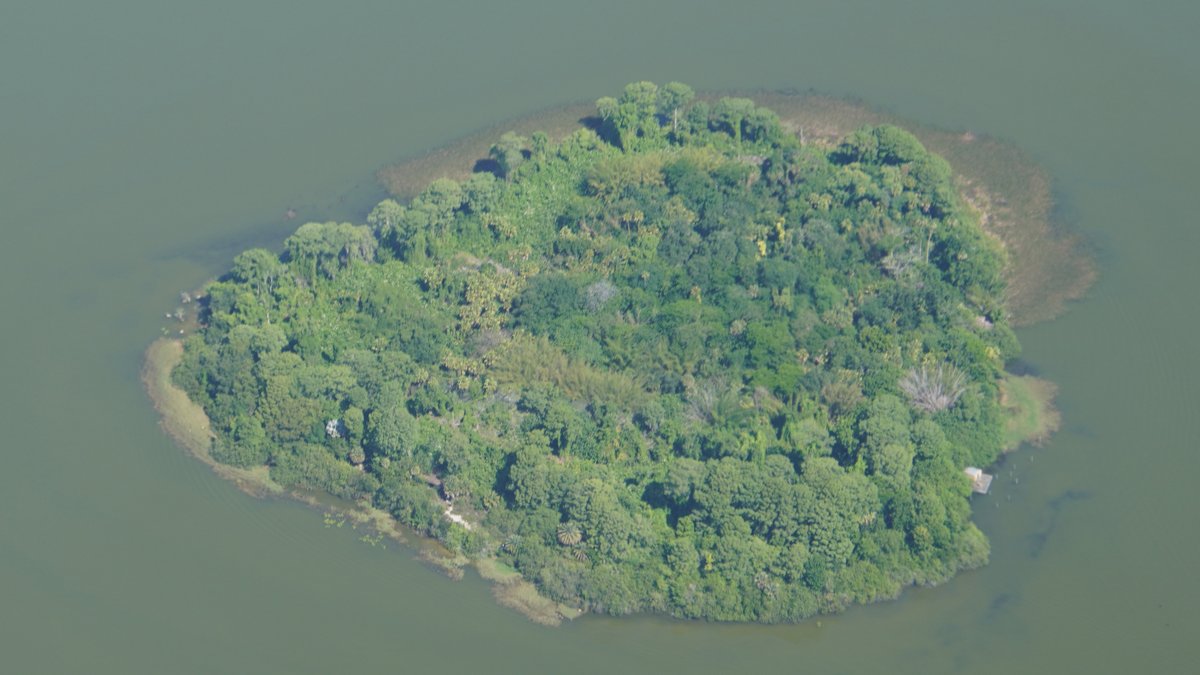 Bioreconstruct On Twitter Aerial View Of Discovery Island In