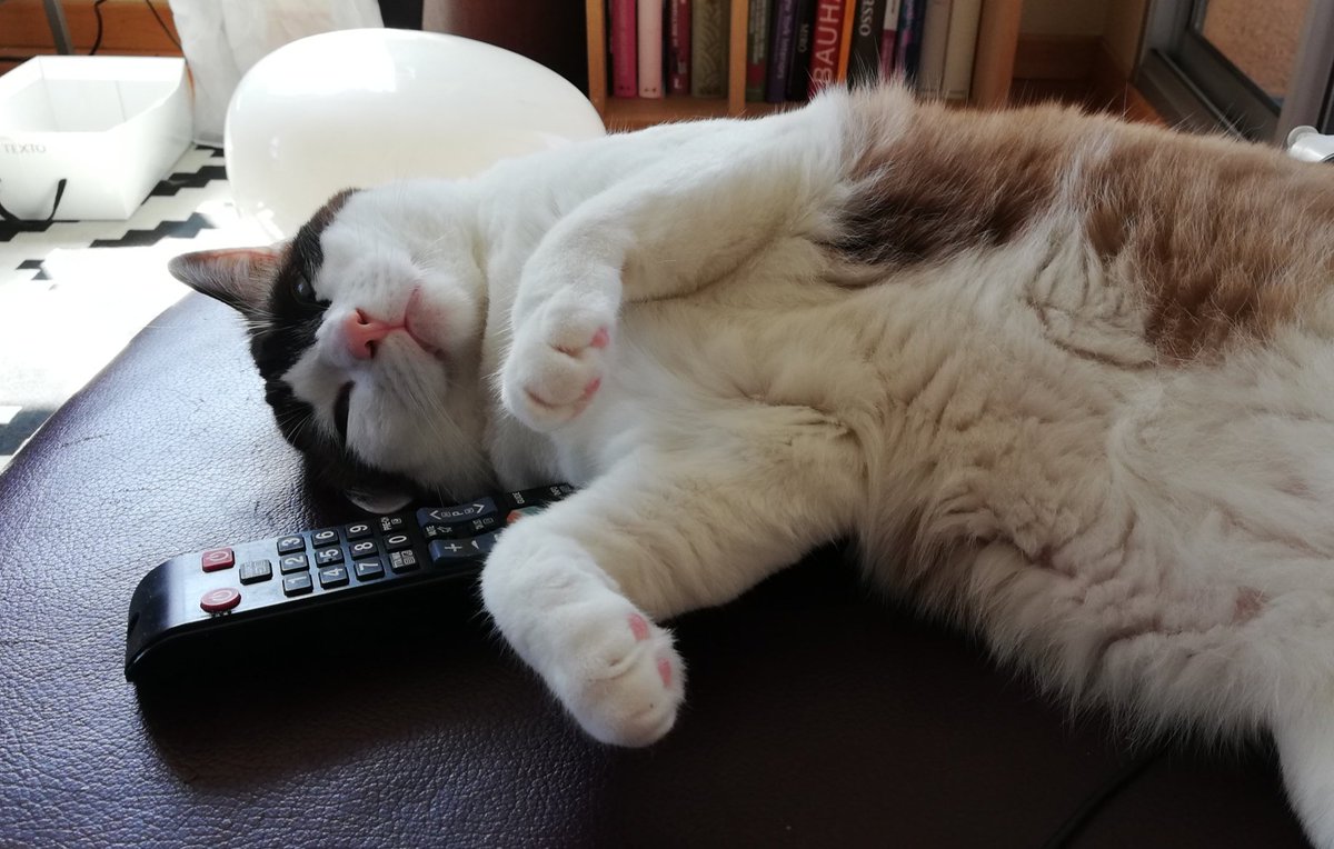 CMinous's tweet photo. Trop dur le confinement... https://t.co/almHuGtmTk