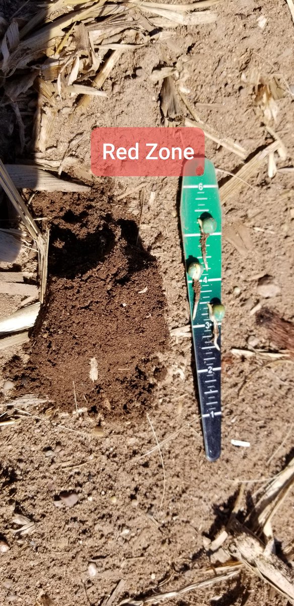 michaeldunnCCA's tweet photo. 12" Gravimetric #Soil Moisture

RED=8.0%
GREEN=17.6%
BLUE=19.2%

Distance from Red to Blue is only ~300ft; typical grid sample would be 330 ft between TWO points &amp; gives you no data on #Relief or #SurfaceFlow of #Water

#Mapping #PrecisionAg #DecisionAg  #Topography 

#SMARTZones https://t.co/z4fnTPG2T6