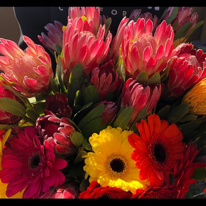 CutDried's tweet photo. We are happy to announce we will be Open This week 10-5.  
We will be following guidelines to ensure Safe shopping in our store including limited customers and hand sanitizer stations.  
We look forward to seeing you again!
Stay safe friends.
#safeshopping #openforbusiness https://t.co/95luFabkLe