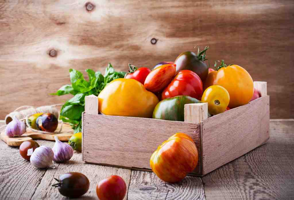 allspicecaterdc's tweet photo. Mixed Produce Box https://t.co/lYJtZdwIhS https://t.co/cNQKwKppgz