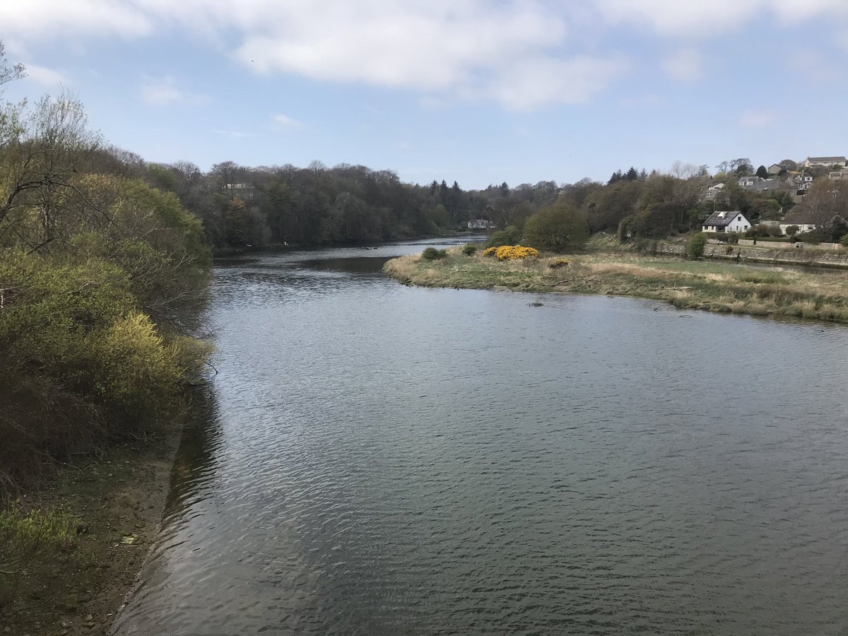 gastrosid's tweet photo. #postworkrun #MondayMotivation #springtime https://t.co/SdNZ1FlyOK