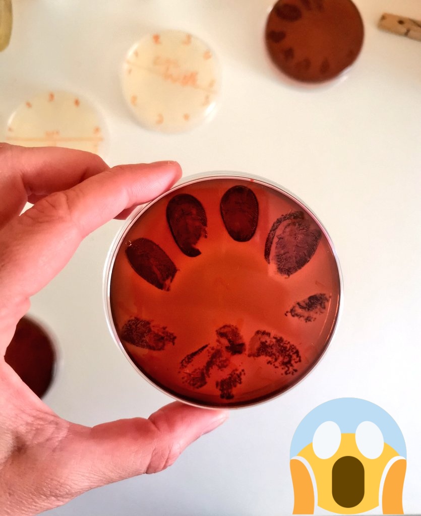 Dr. Rebecca Cavanagh (PhD) tweet media