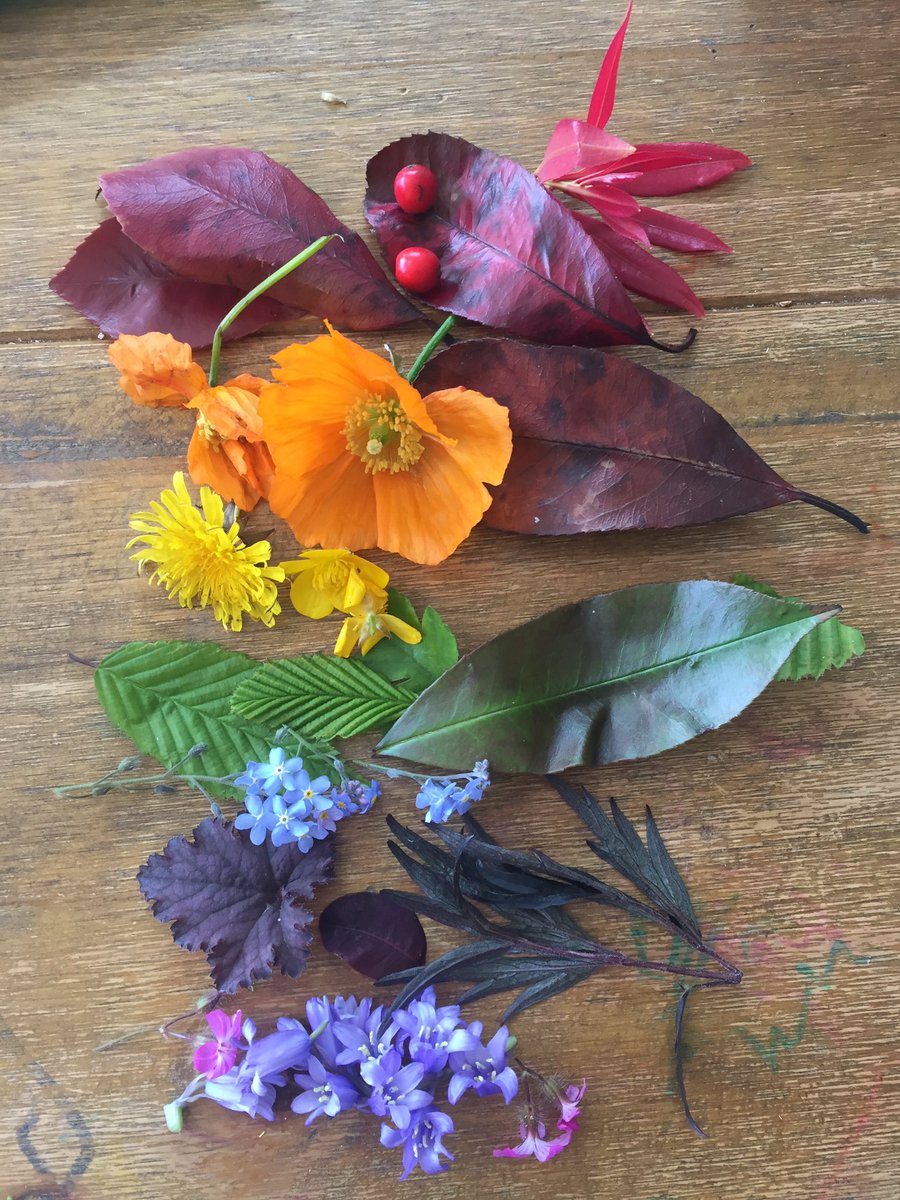 hanjday's tweet photo. Making rainbows today 🌈 @fouroaksprimary #ladybirds #rainbow https://t.co/6XbILdn37h