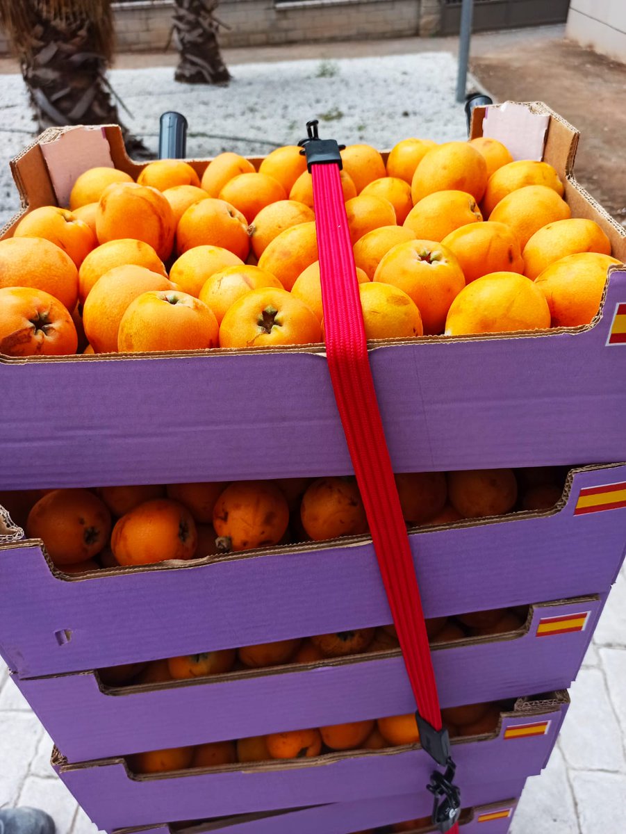 GrupoReifs's tweet photo. La iniciativa 'Níspola Solidaria 2020', promovida por agricultores granadinos, nos ha hecho llegar a nuestra #residenciademayores Grupo Reifs #maracena este exquisito  fruto de nuestra tierra
Muchas gracias 
#Novofrut
#FrutasGarsan
#otivar https://t.co/hqZzU6naYy