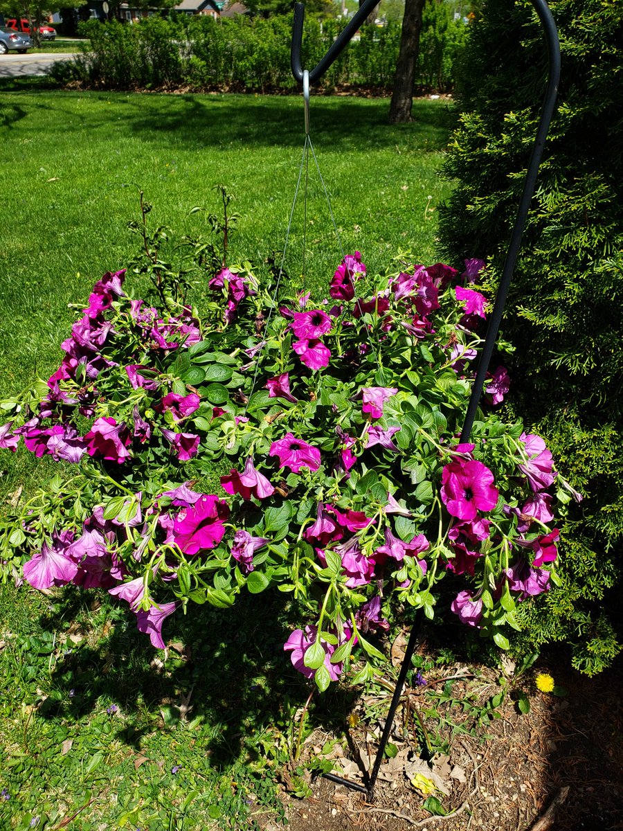 Thank you so much JBS PTO! #gcscpride #jbsrocks