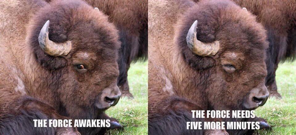 Pace yourself...

#MondayMotivation #MayThe4th