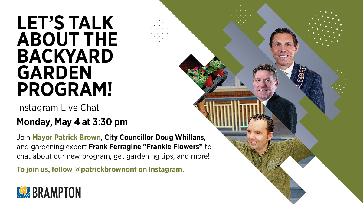 CityBrampton's tweet image. Brampton Parks staff are delivering seeds and soil to residents for the Backyard Garden Program! Whether you're waiting for materials or you're ready to get gardening, join an IG Live with gardening expert @FrankFerragine, Mayor @patrickbrownont and Cllr @DougWhillans at 3:30pm