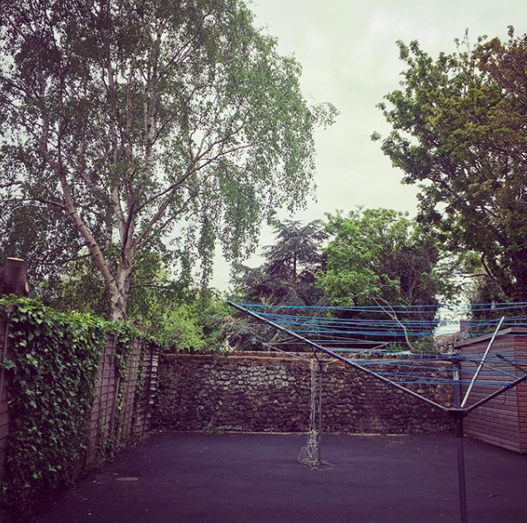 thanettrees's tweet photo. This beautiful tree on an @orbitgroup @neworbithomes housing estate is due to be felled today. Orbit put profit before residents and the environment. Please shame Orbit into better actions to save our mature trees. #orbit #saveourtrees #silverbirch #westgate #orbithomes https://t.co/Ayxcgs4LgG