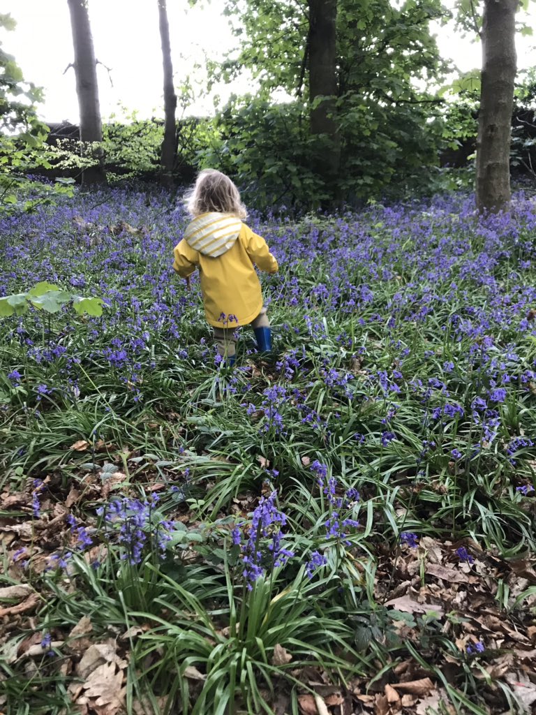 OrchardPrimaryA's tweet photo. Mr Carbutt saw some beautiful things on his family walk this evening. It’s nice to have time to appreciate what is around us #OPAenvironmentweek @SouthPennine https://t.co/xyd2r0kUXH