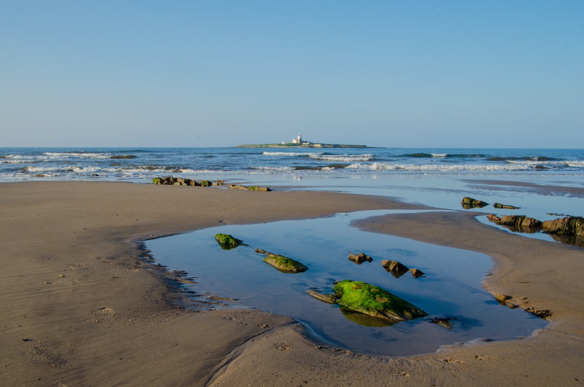 Photo_SarahE's tweet photo. The beach overlooks Coquet Island which is a nature reserve, we sailed around it to look at the puffins and gannets from a distance. One of my favourite places in the world. https://t.co/hoyvfL5HCt