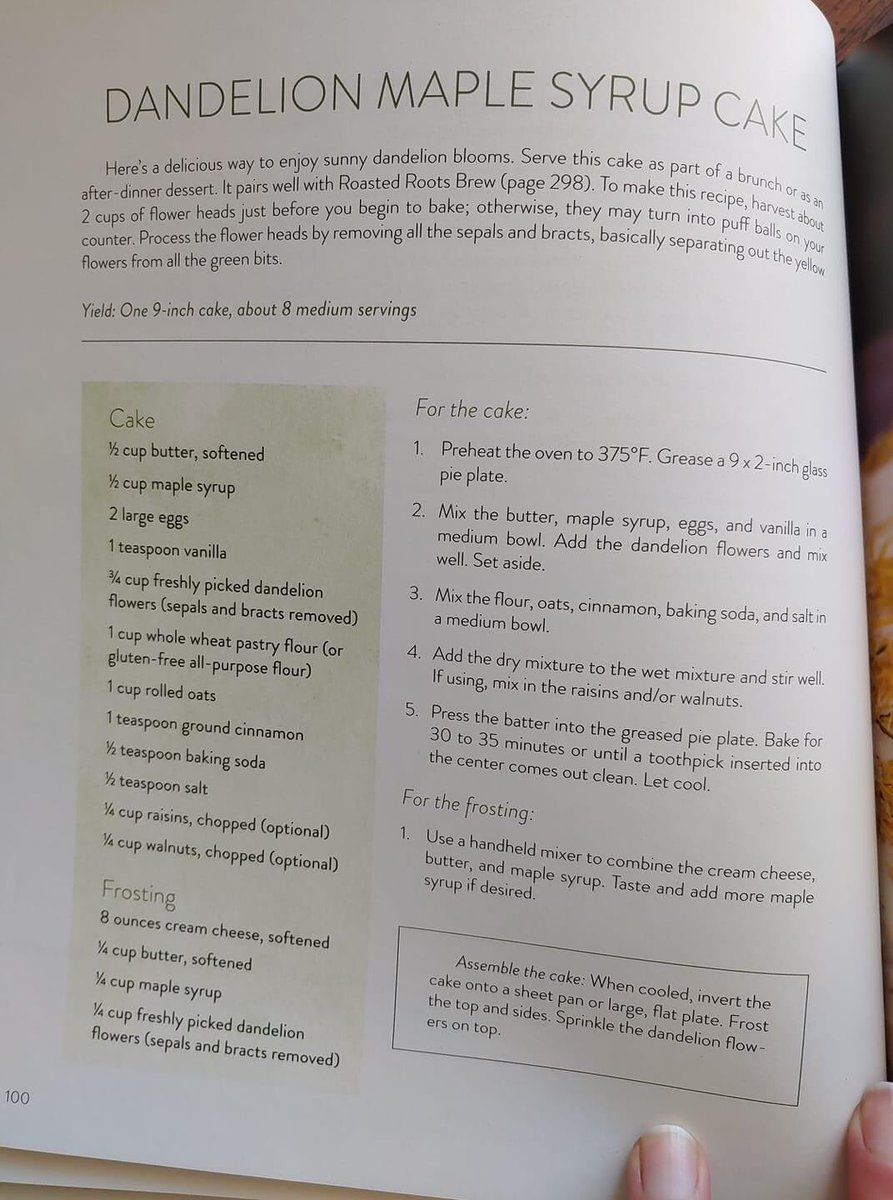 MrsAllor4th's tweet photo. We had a great Google Meeting today and shared the outdoor fun we’ve been having. I made this Dandelion Cake with Natalie and Lucie, here is the recipe if you want to try it!  (We also found a frog!) https://t.co/XKnnMxDTeC