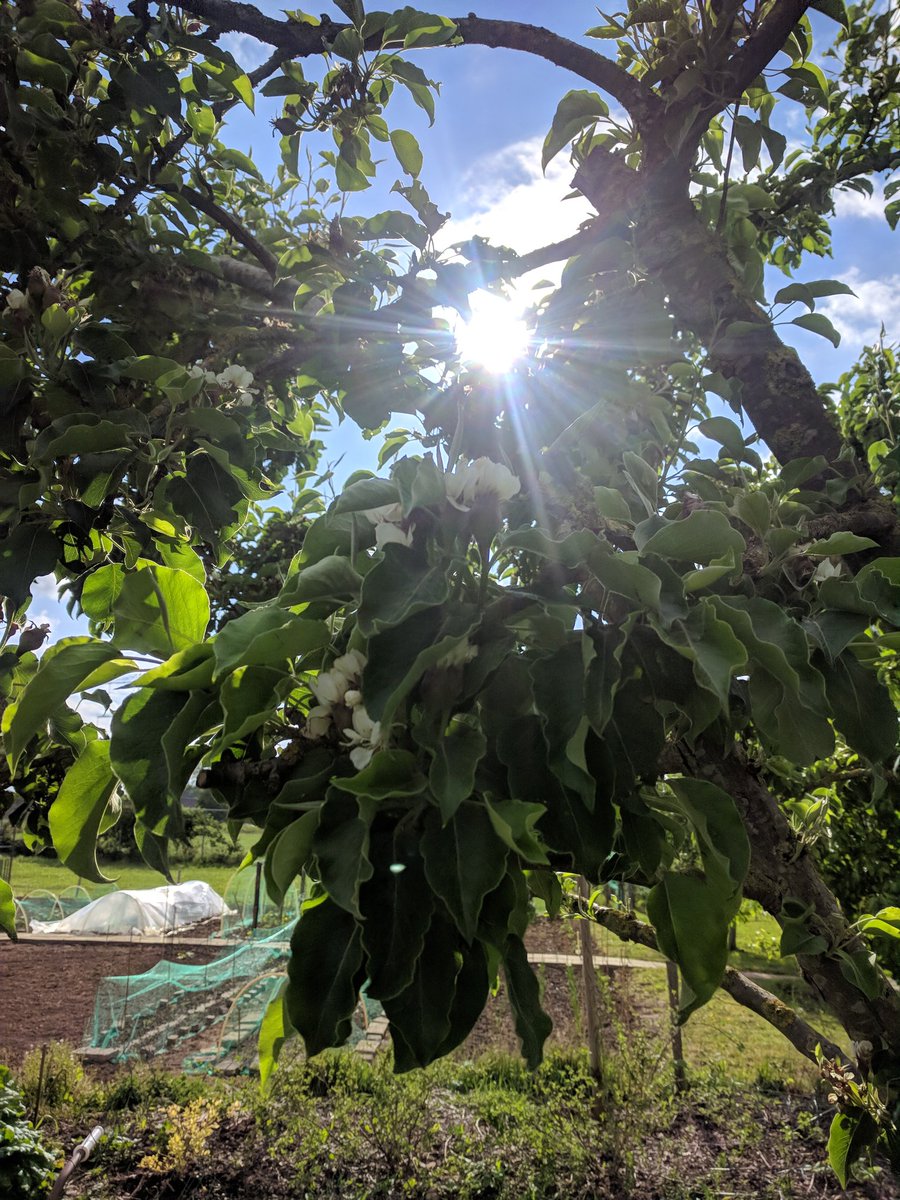 En de zon breekt door als je naar Hem op kijkt.