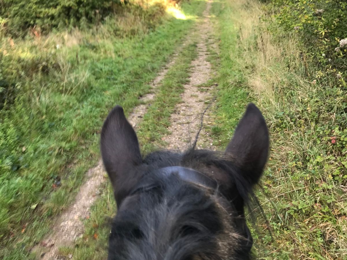 RuthEBamford's tweet photo. Keeping spirits high and getting to the core! - https://t.co/fpmRL8bj9z https://t.co/B36fB4qow5