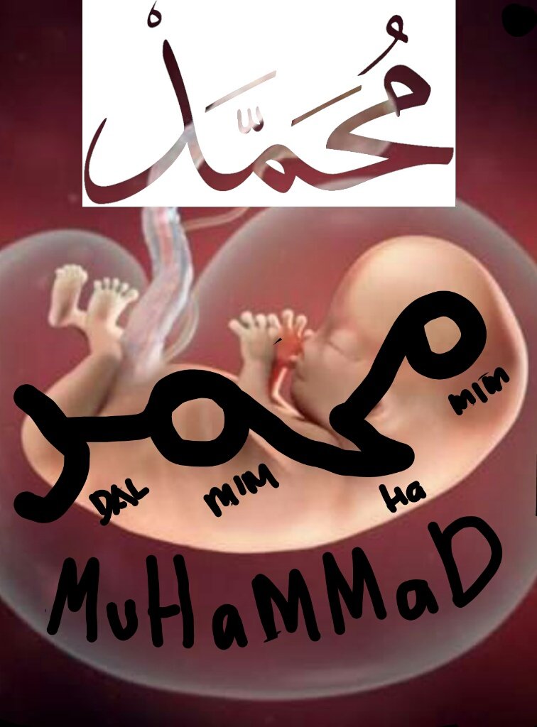 Tak ada yang kebetulan di semesta ini.

Di alam rahim...
Bila ada diantara janin dan janin janin_mu tak berbentuk seperti ini, dipastikan tak cukup usia memahami apa apa sampai ajal menjemput.

Takan AKU tajallikan alam ini kl bukan krn Engkau ya MUHAMMAD 😘😙 emuuuuahhhh #mim