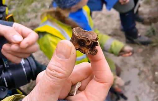TheBrochProject's tweet photo. There are a number of fantastic #Norse sites in the county too. First up, #Freswick, which was some sort of fish-processing factory. These lovely bone combs were found here.
I mean just because you're a pillaging beserker doesn't mean you can't give that beard a wee glam up! https://t.co/XXCKnuqUrq