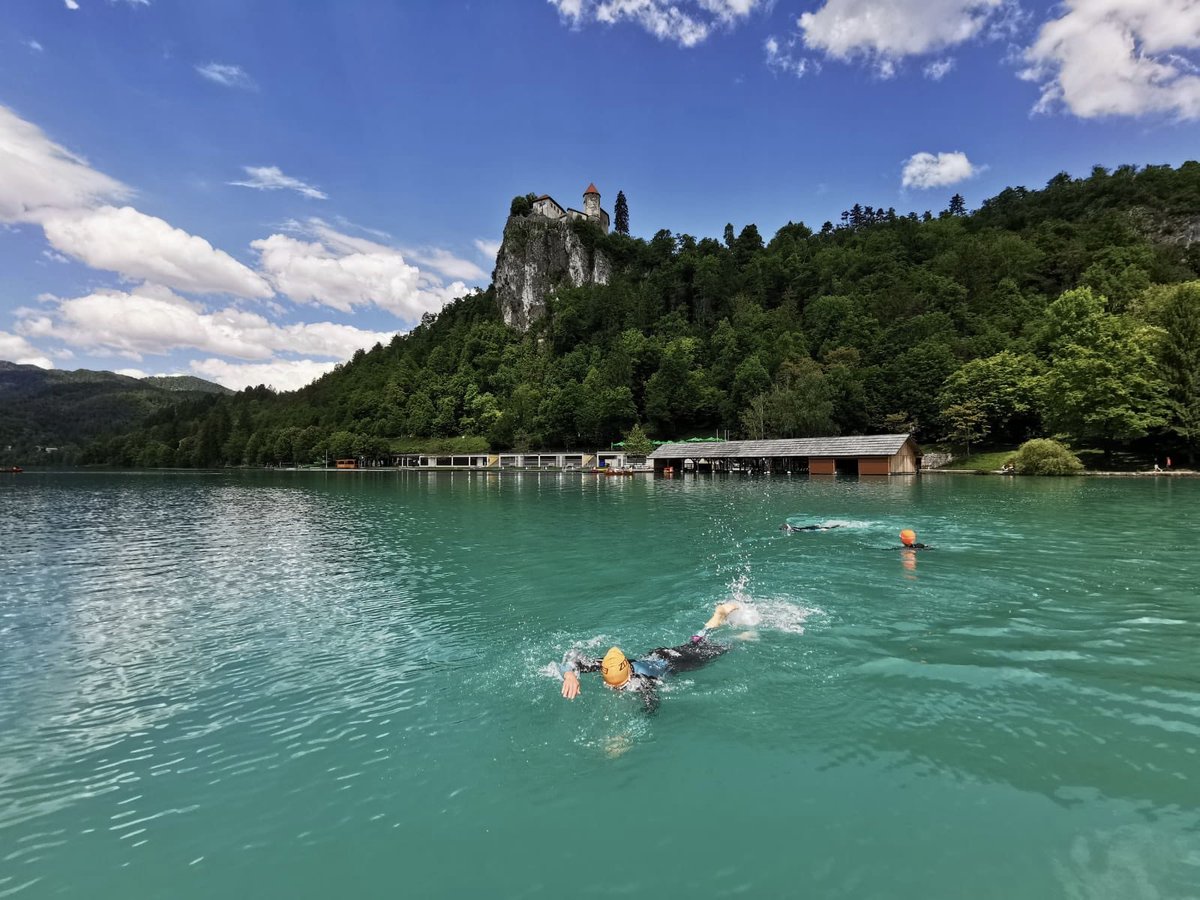 AmyMartin68's tweet photo. @SelkieSwimCo I’d love to be back here, swimming across Lake Bled! https://t.co/Ijy9NUlQen
